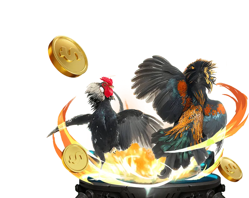 Các tính năng chính của ứng dụng vsbet1